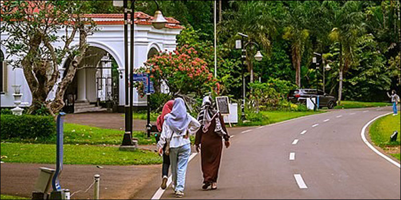 Wandelaars op een weg met palmbomen en heesters met rode bloesem.