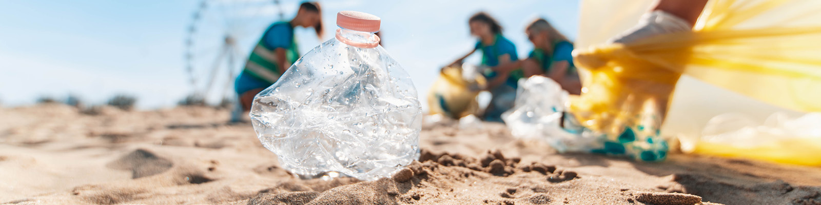 ALG_Beach_cleanup_head_large.jpg