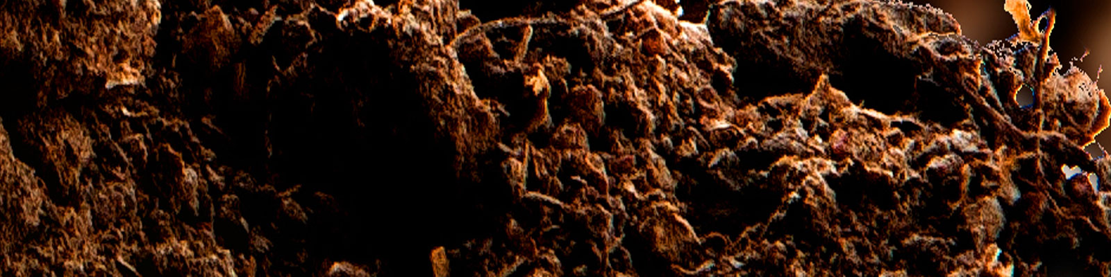 Thema_DagAarde_11666_head_large.jpg
