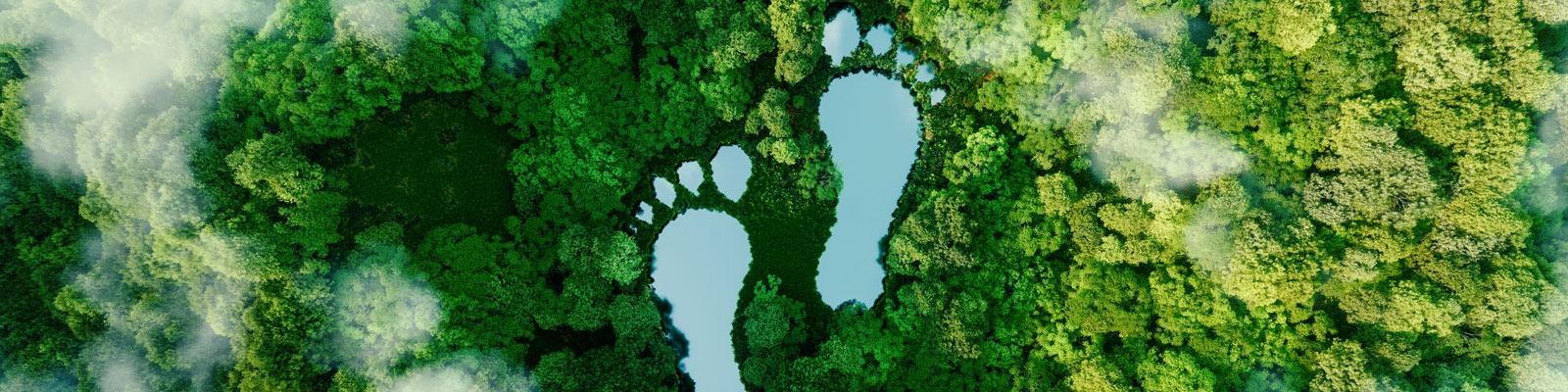 Wetenschappers Open Universiteit schrijven kinderboek over natuur, klimaat  en milieu - Open Universiteit - Open Universiteit