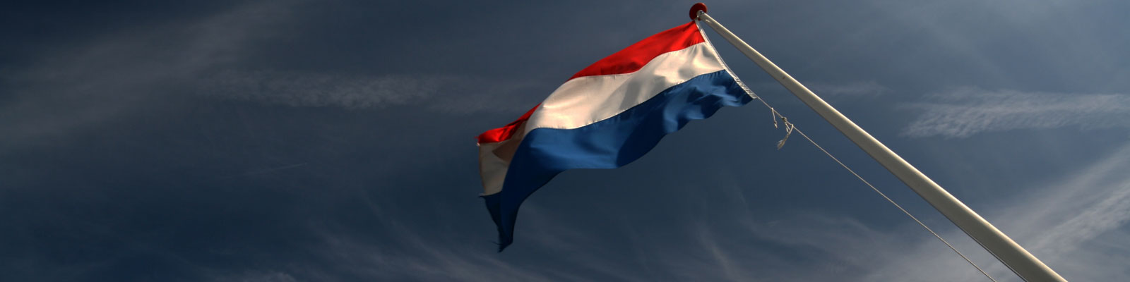 RW_Webcolumn_IreneBroekhuijse_13754_head_large.jpg