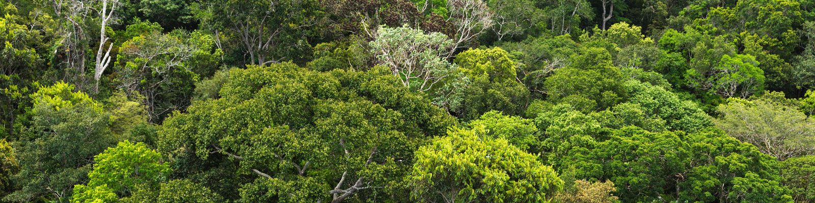 NW_NatureClimatChange_StefanDekker_14660_head_large.jpg