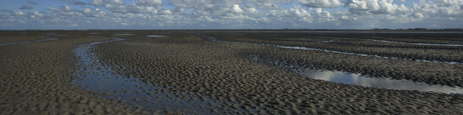 NW_Waddenzee_JudithFloor_14535_head_large.jpg