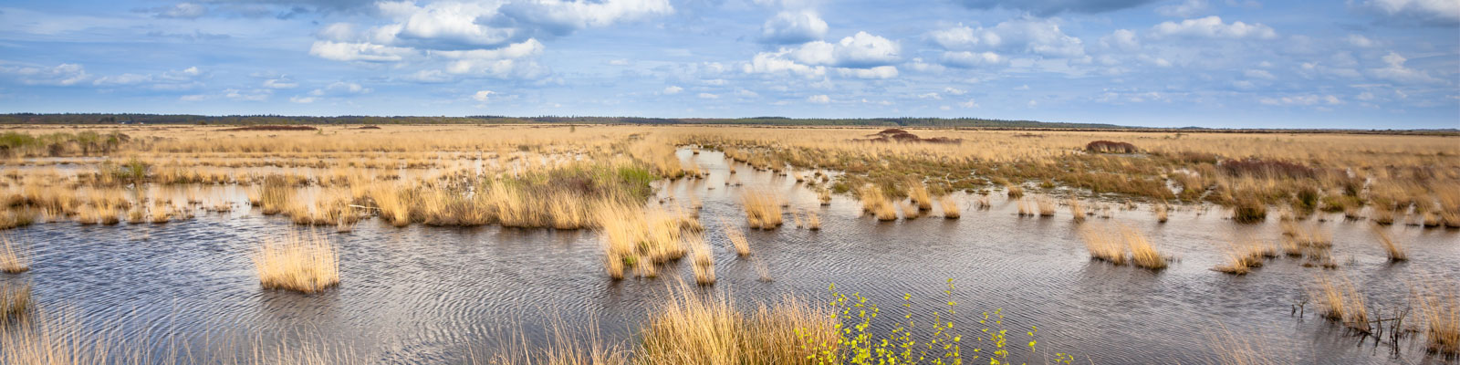 Home_BeschermingNatuur_RaoulBeunen_15055_head_large.jpg