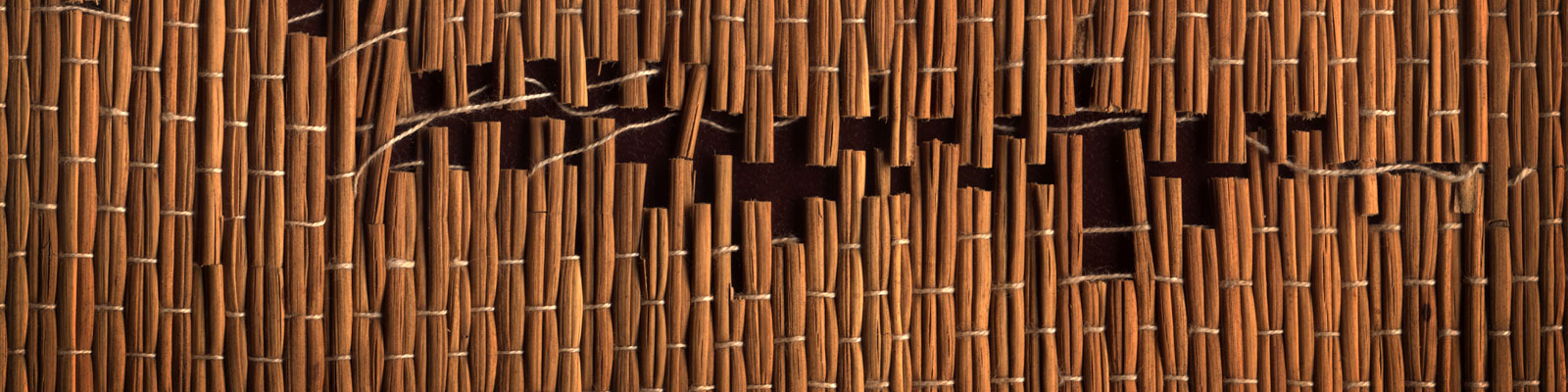 Studie_Functiebeperking_12472_head_large.jpg