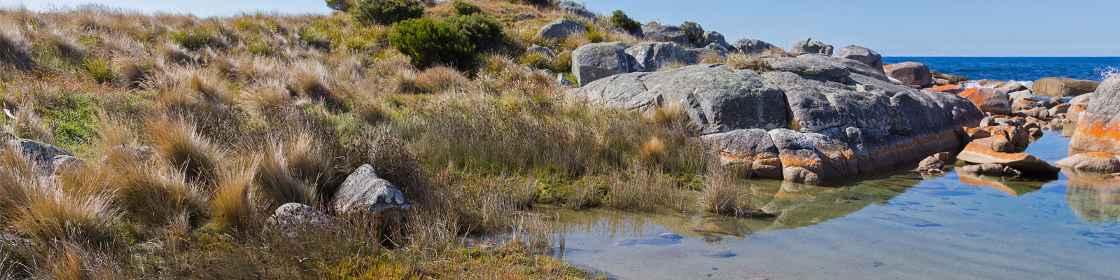 NW_Nature_JimvBelzen_head_large.jpg