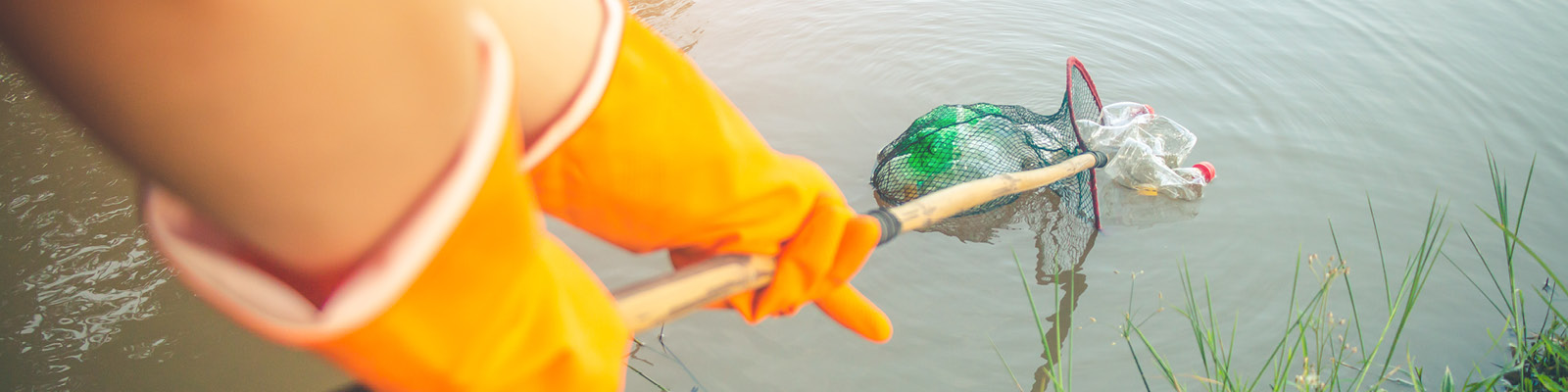 Maas_Cleanup25_head_large.jpg